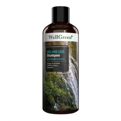 WellGreen+ Kolajen & Keratinli Dökülme Karşıtı Şampuan - 300 ml